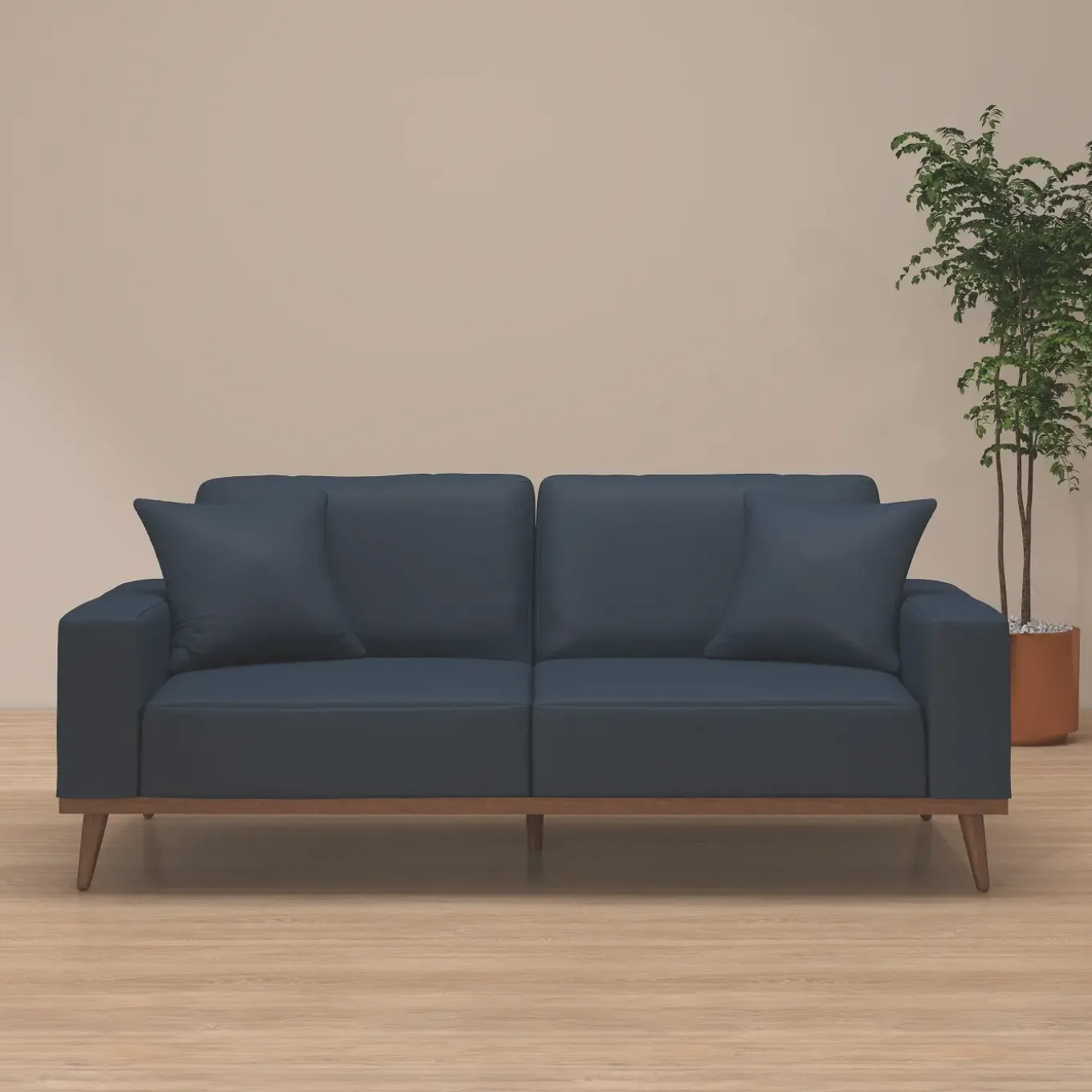 Ava Sofa with 2 Pillows