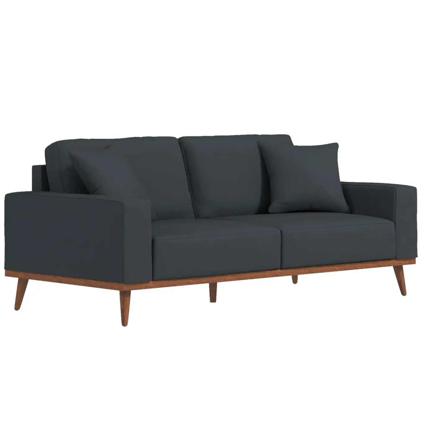 Ava Sofa with 2 Pillows
