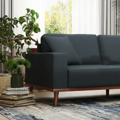 Ava Sofa with 2 Pillows