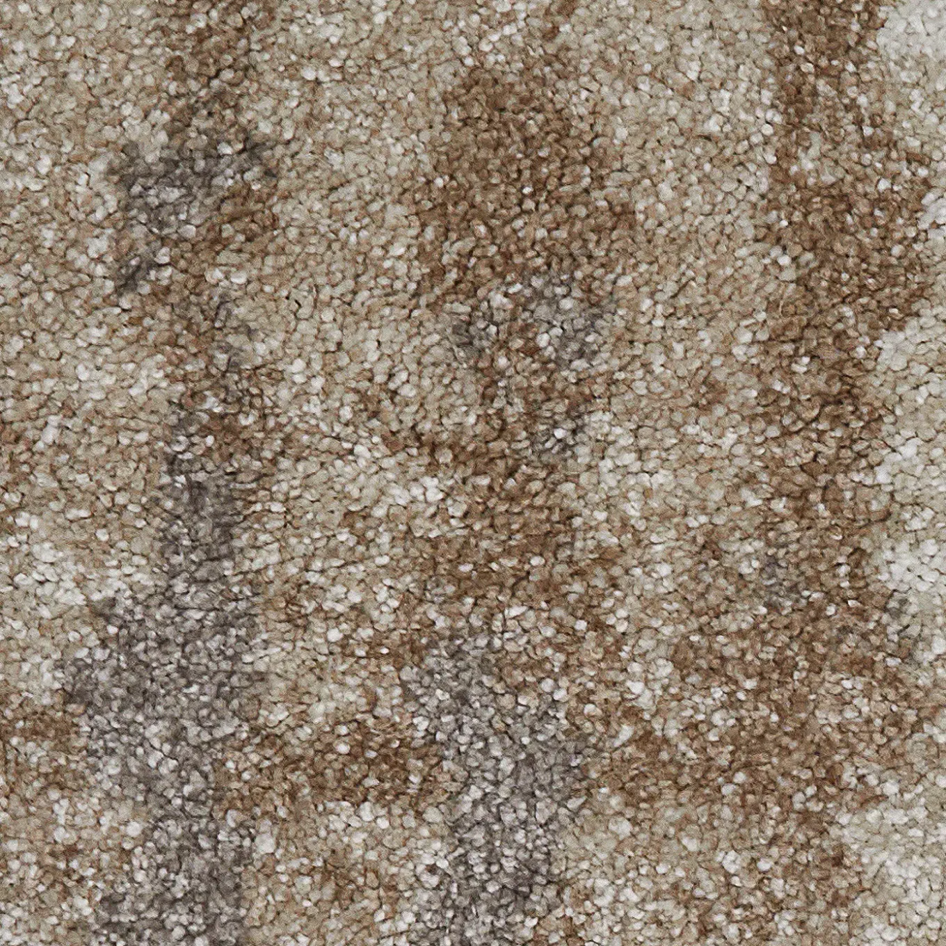 Felix Area Rug
