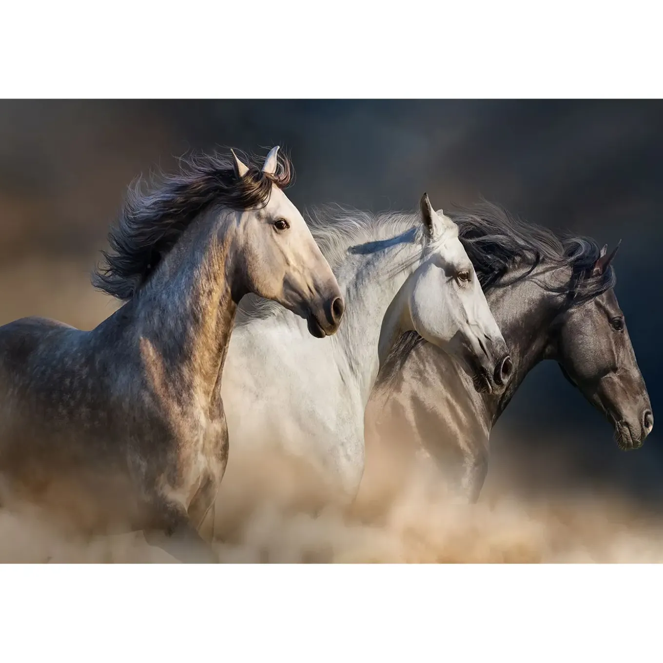 Running Horses Glass Wall Art