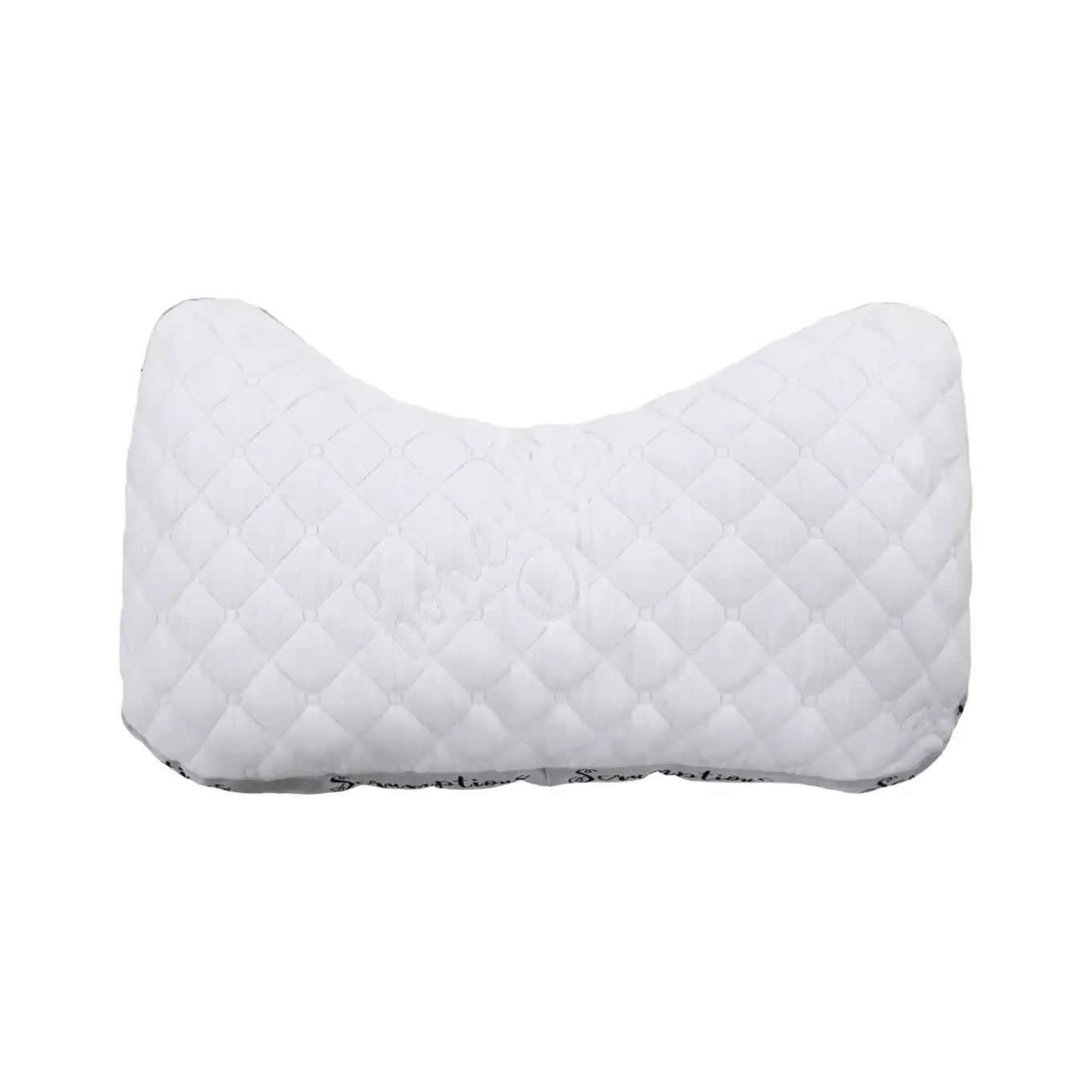 Scrumptious Pillow