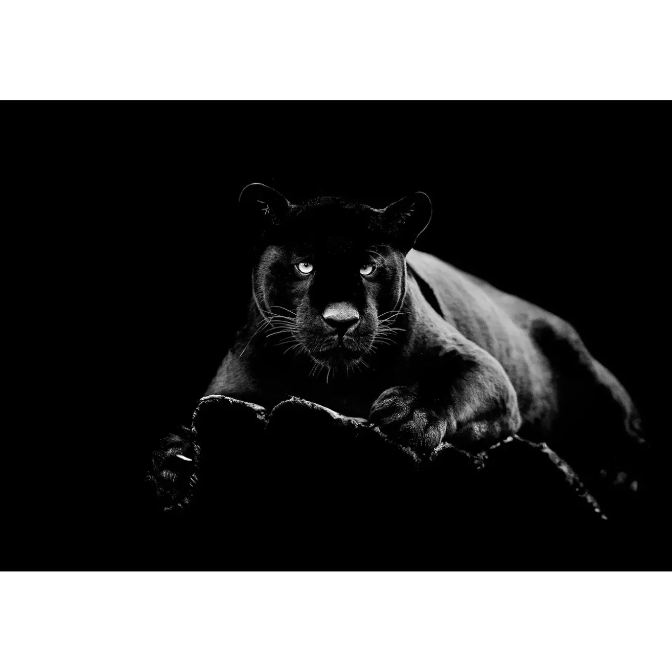 60" x 40" Black Panther Glass Wall Art