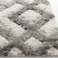 8'x11' Coulter Area Rug